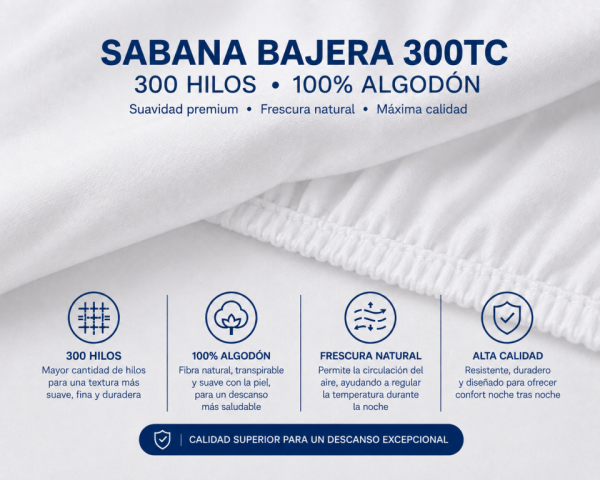 BAJERA 300TC 100ALG